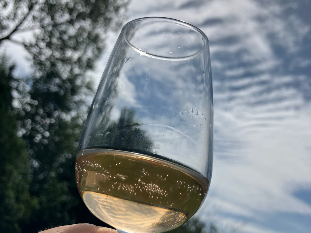 Sedlescombe Organic Vineyard-Sedlescombe必去景点