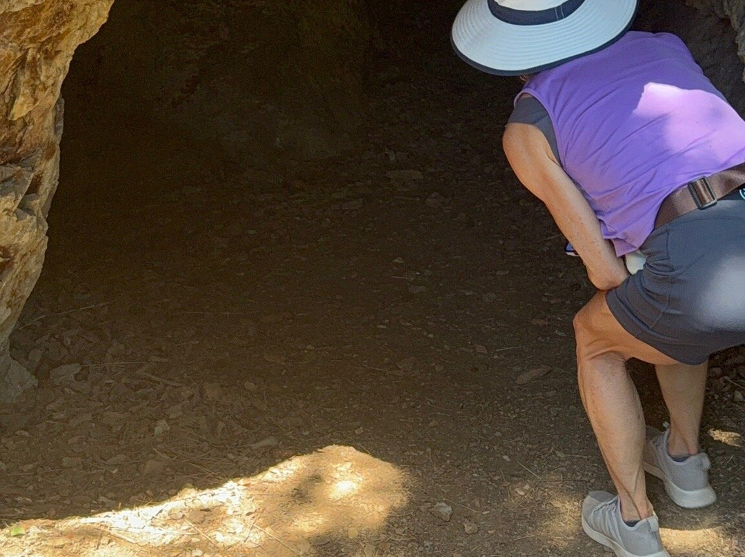 Mineral Ridge National Recreation Trail-科达伦必去景点