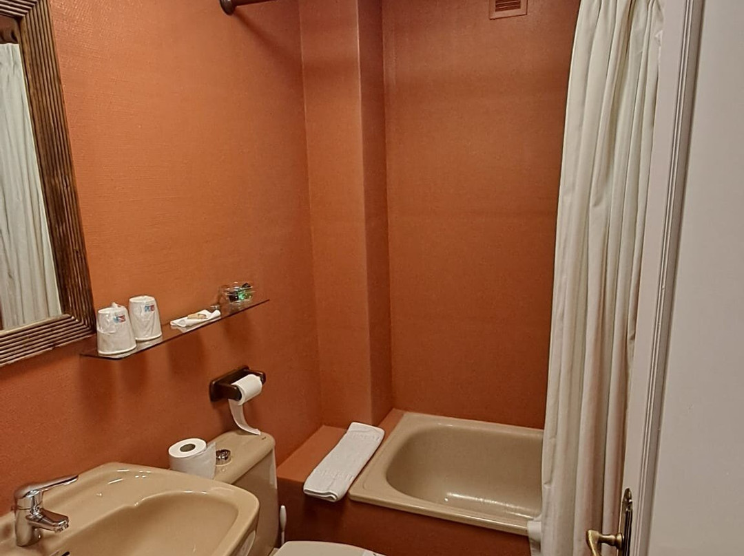 Avenida Real Hotel主图