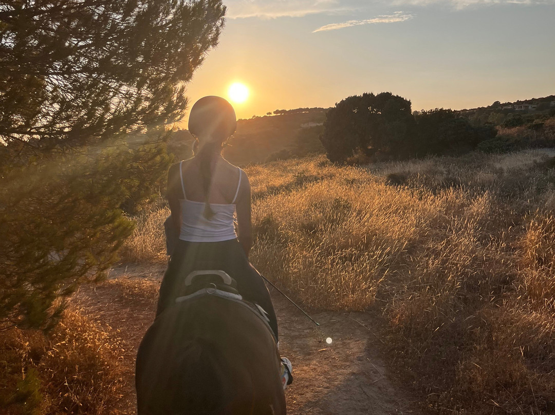 Centro Equestre Mirmex Asd-Quartucciu必去景点