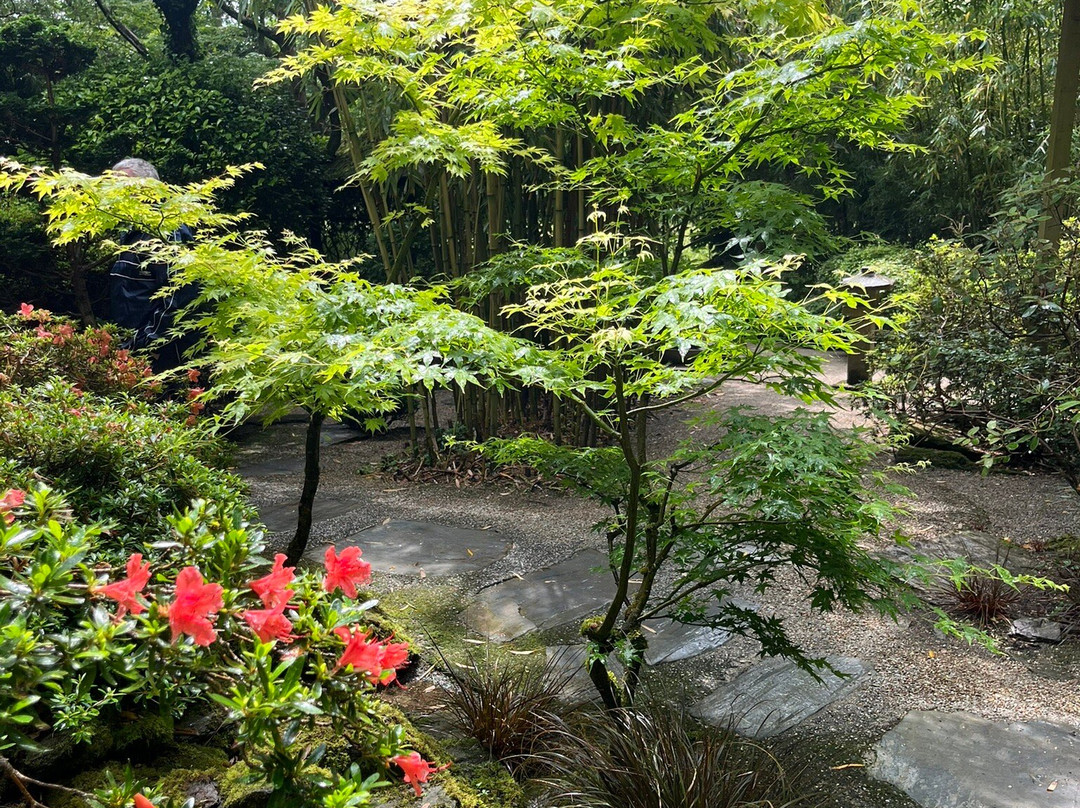 The Japanese Garden-St. Mawgan必去景点