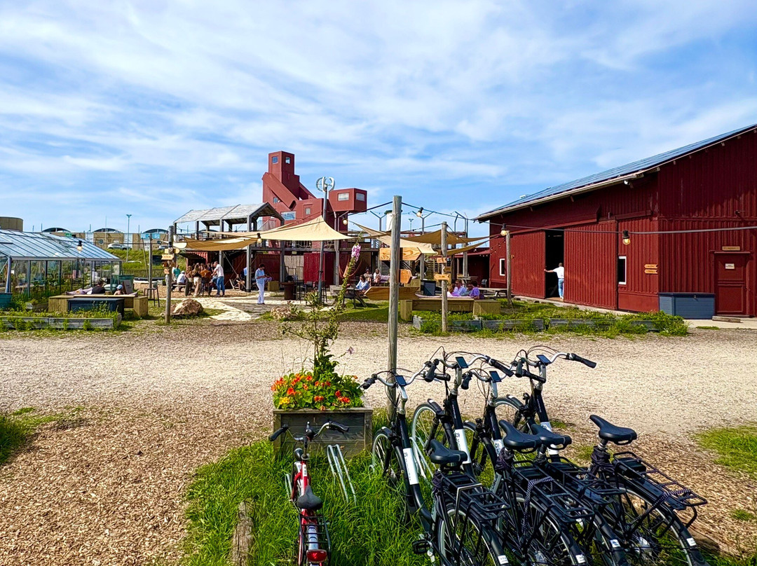 Basecamp IJmuiden主图