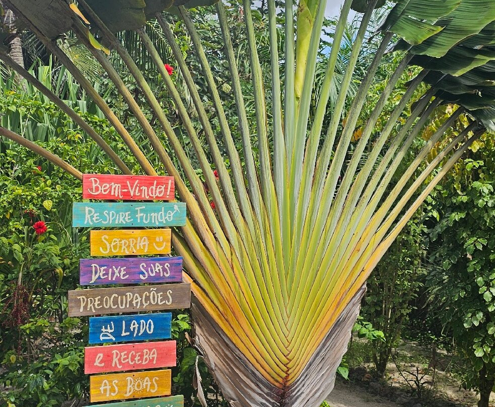 Recanto Pacheco-Rio do Fogo必去景点