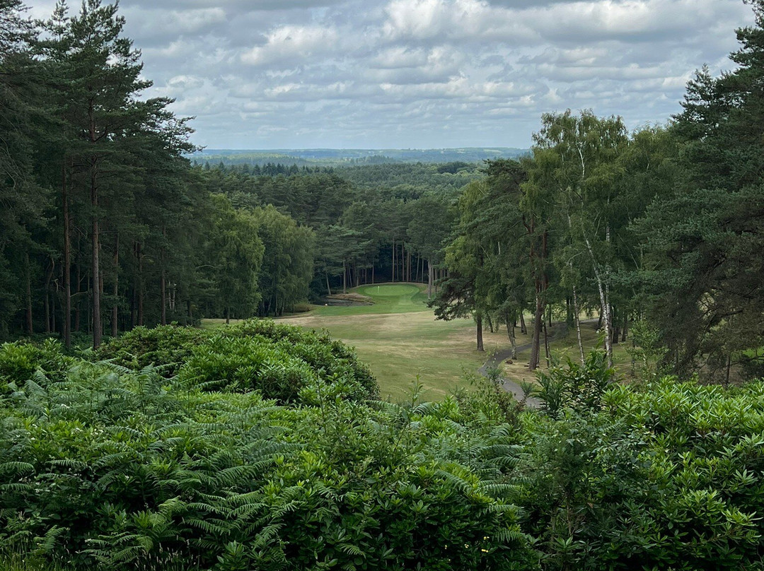 Old Thorns Golf Course-Liphook必去景点