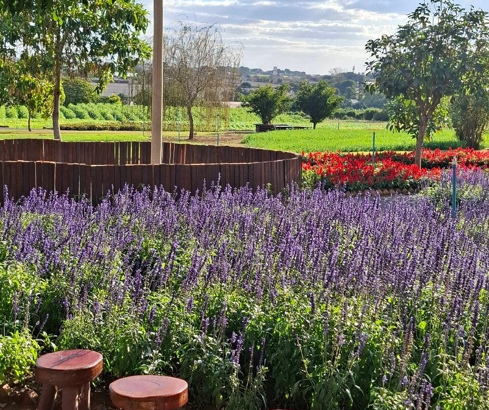 Bloemen Park-Holambra必去景点