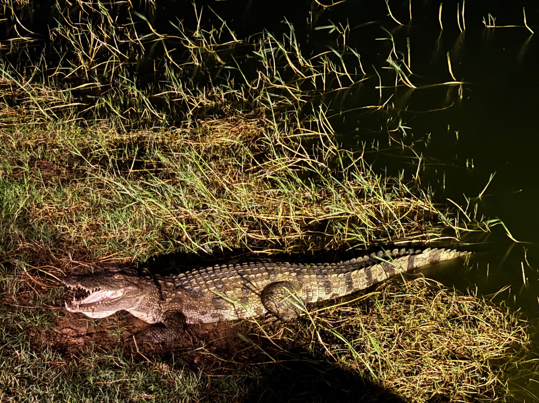 Cinnamon Hotels and Resorts-Yala必去景点