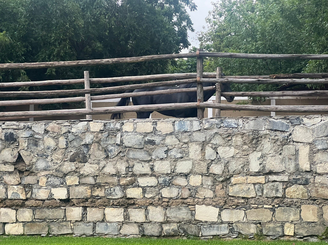 La Casona del Banco主图