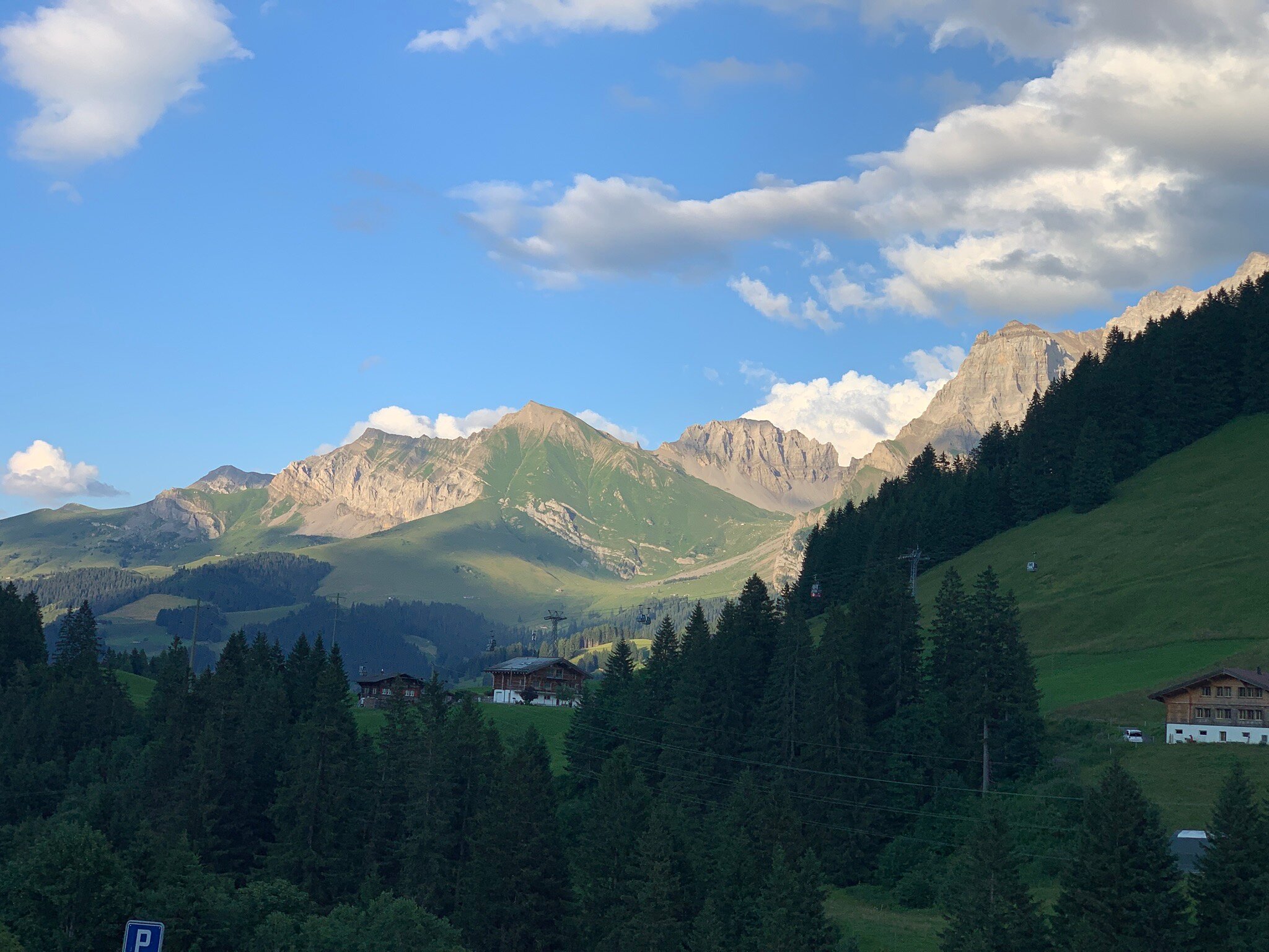 Hotel Des Alpes-官方