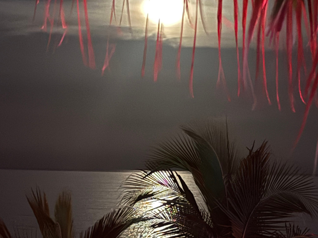 Costa d'Este Beach Resort & Spa主图