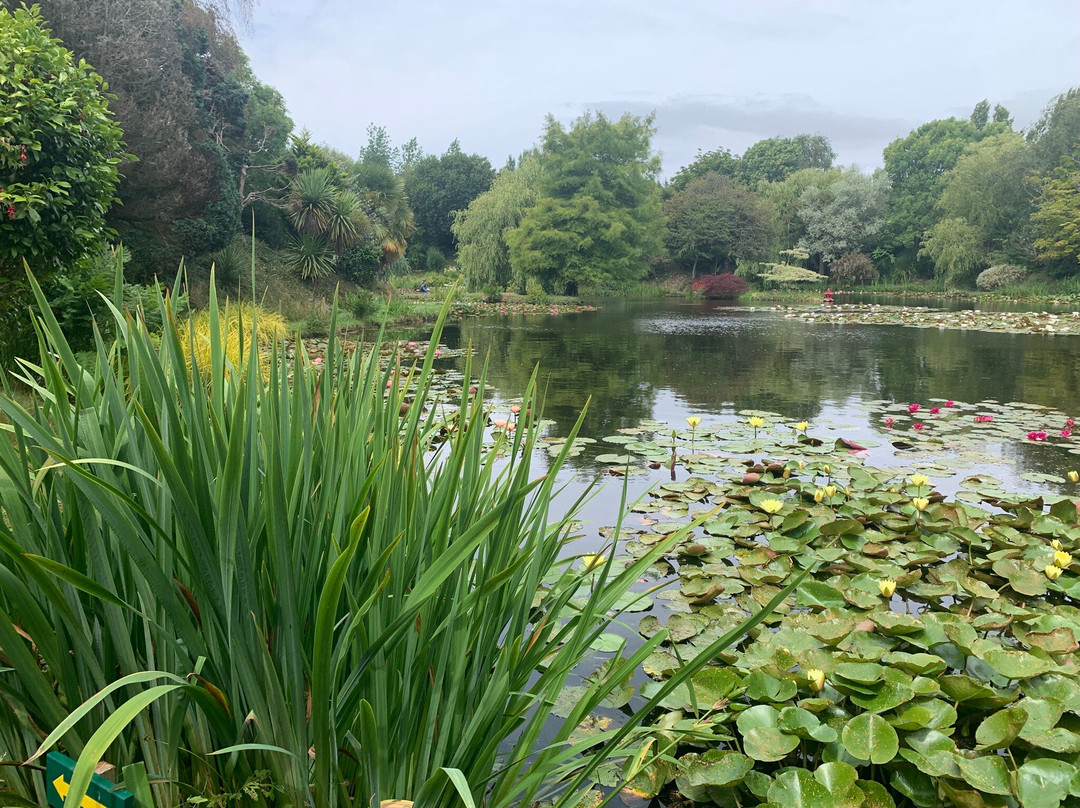 Bennetts Water Gardens-Chickerell必去景点