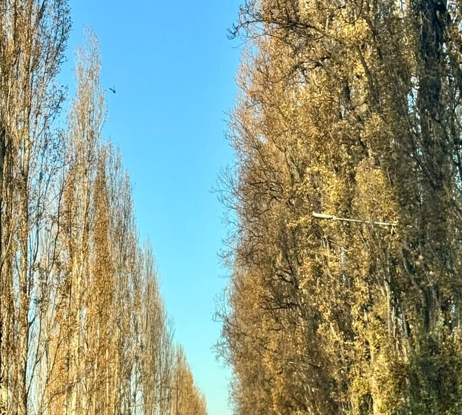 Adora Mendoza-门多萨必去景点