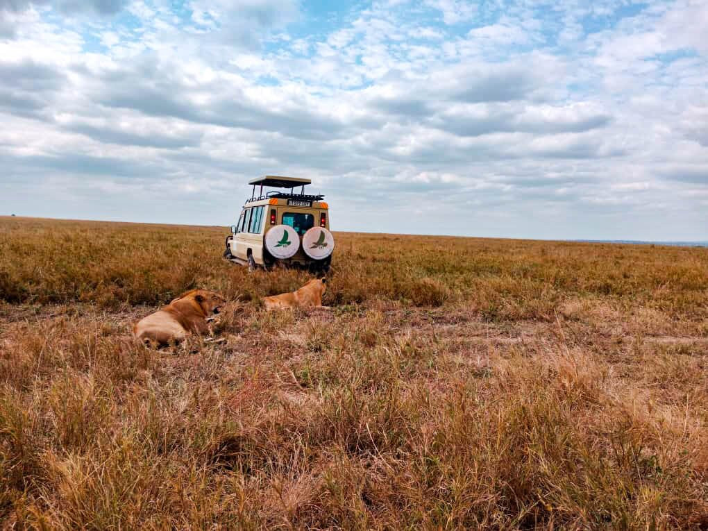 Livingstone Safari Tanzania-阿鲁沙必去景点