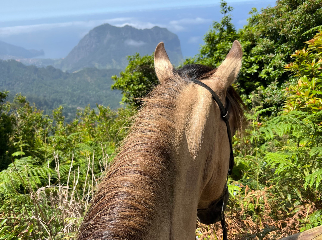 Equine Village by Quinta do Riacho-Santo da Serra必去景点