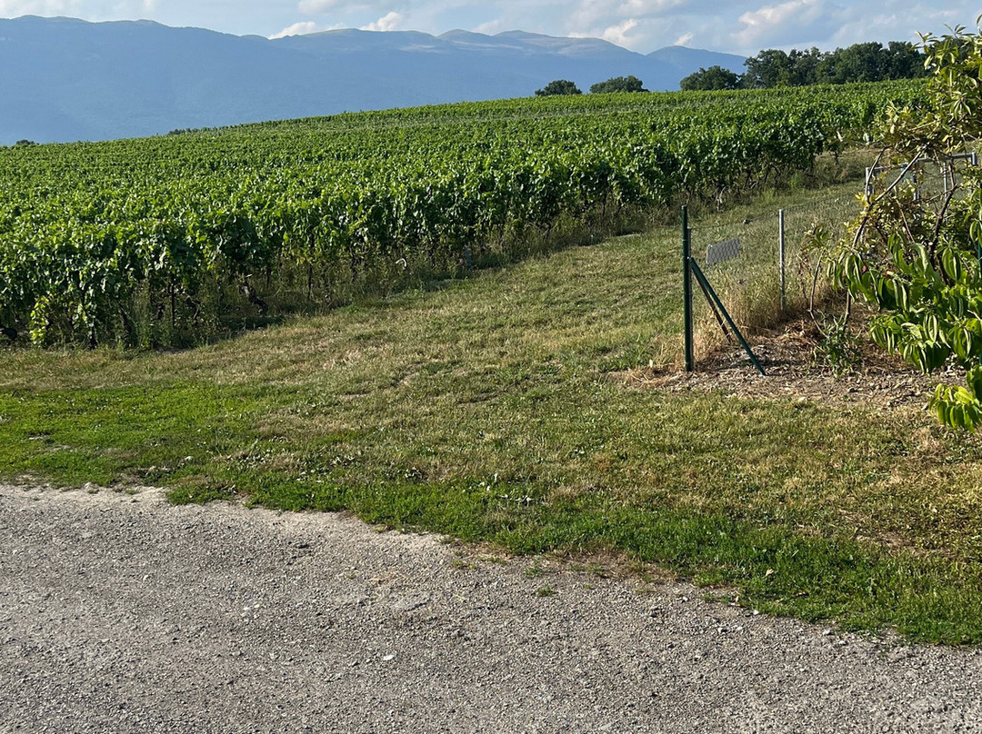 Domaine Les Perrières-Satigny必去景点