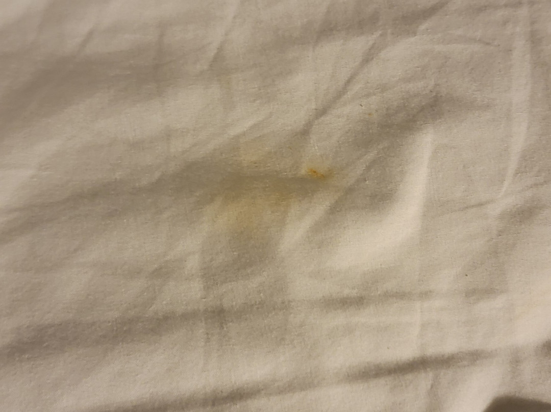 StoneHill Lawrence, Trademark Collection by Wyndham主图