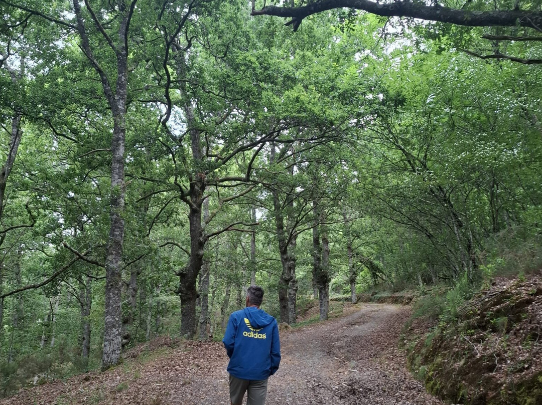 Hotel Casa Pedro主图