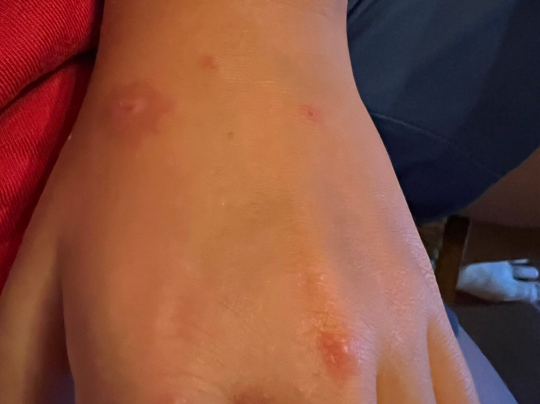 Podere Patrignone主图