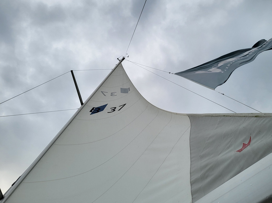 Mitsegeln auf dem Scharmuetzelsee-Bad Saarow必去景点