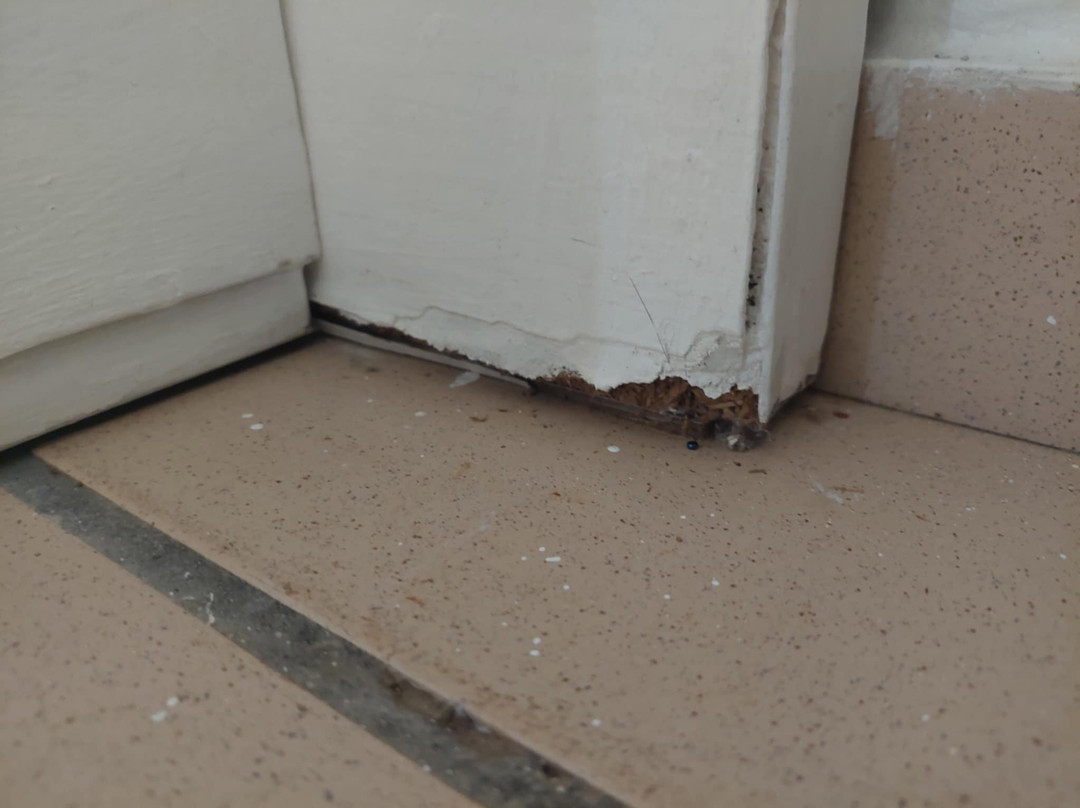 BlueBay Villas Doradas主图