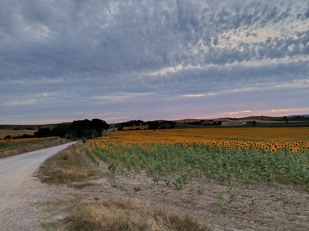 La Locanda Del Trompalocchio