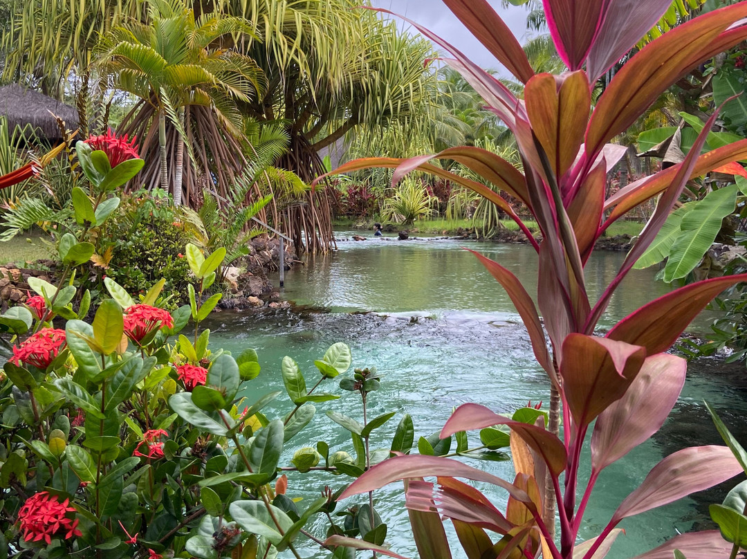 Tao Paradise-Pureza必去景点