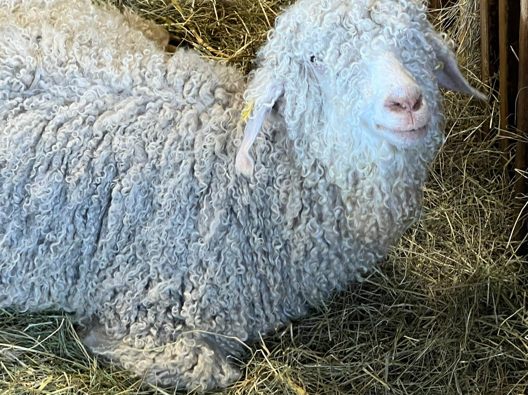 La Ferme Du Col-Jarjayes必去景点