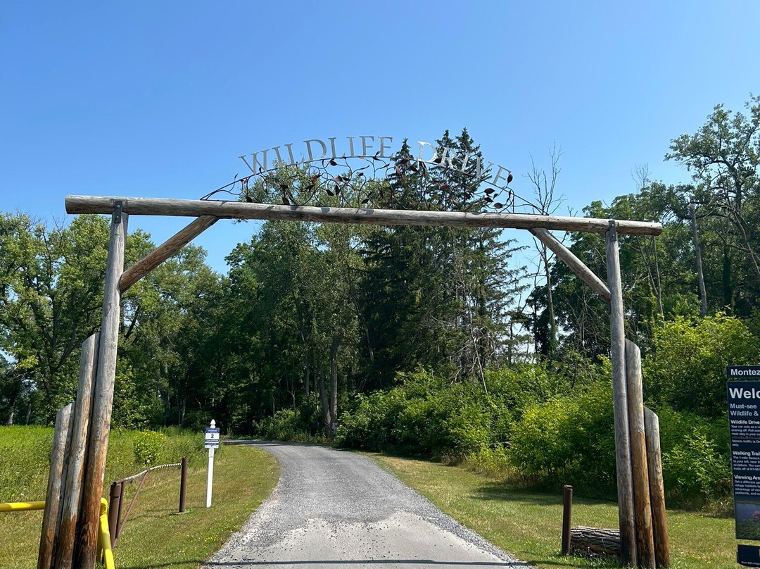 Montezuma National Wildlife Refuge-Seneca Falls必去景点