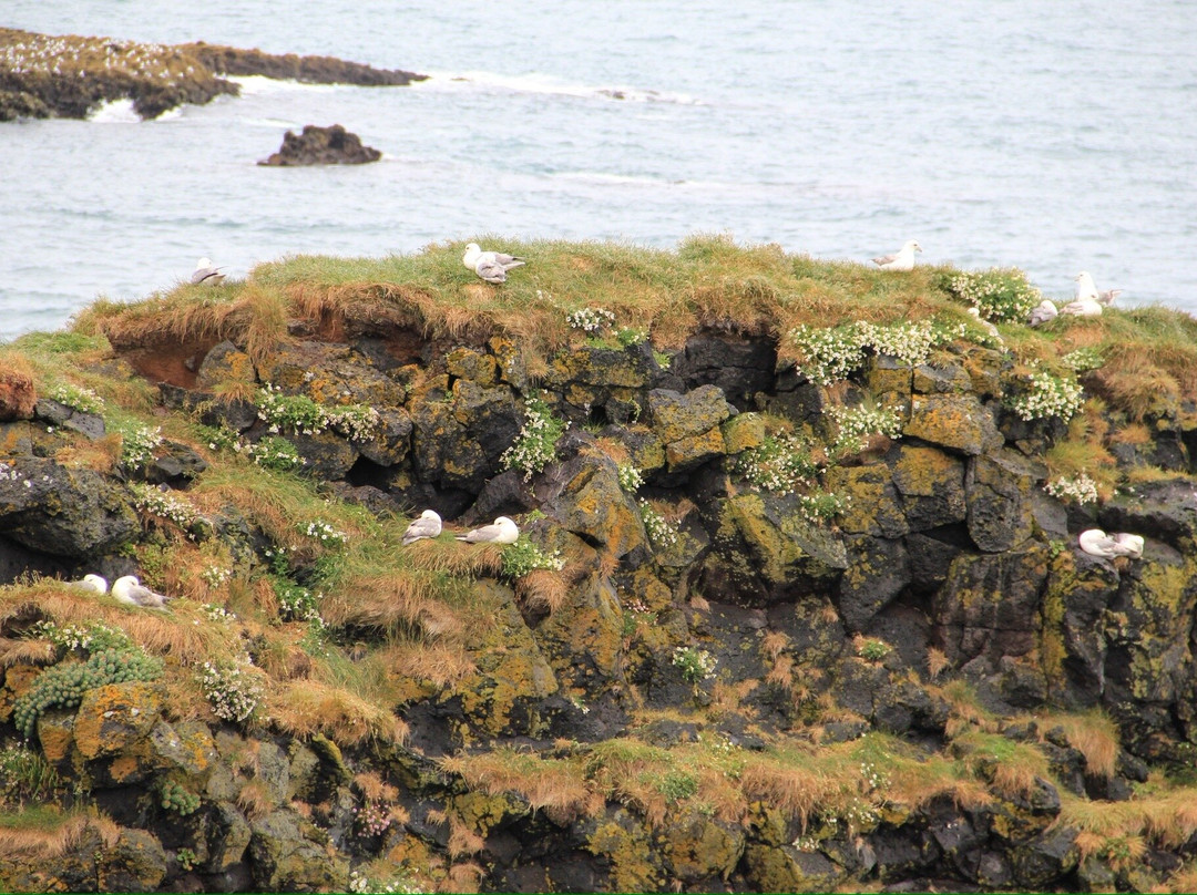 Gatklettur-Arnarstapi必去景点