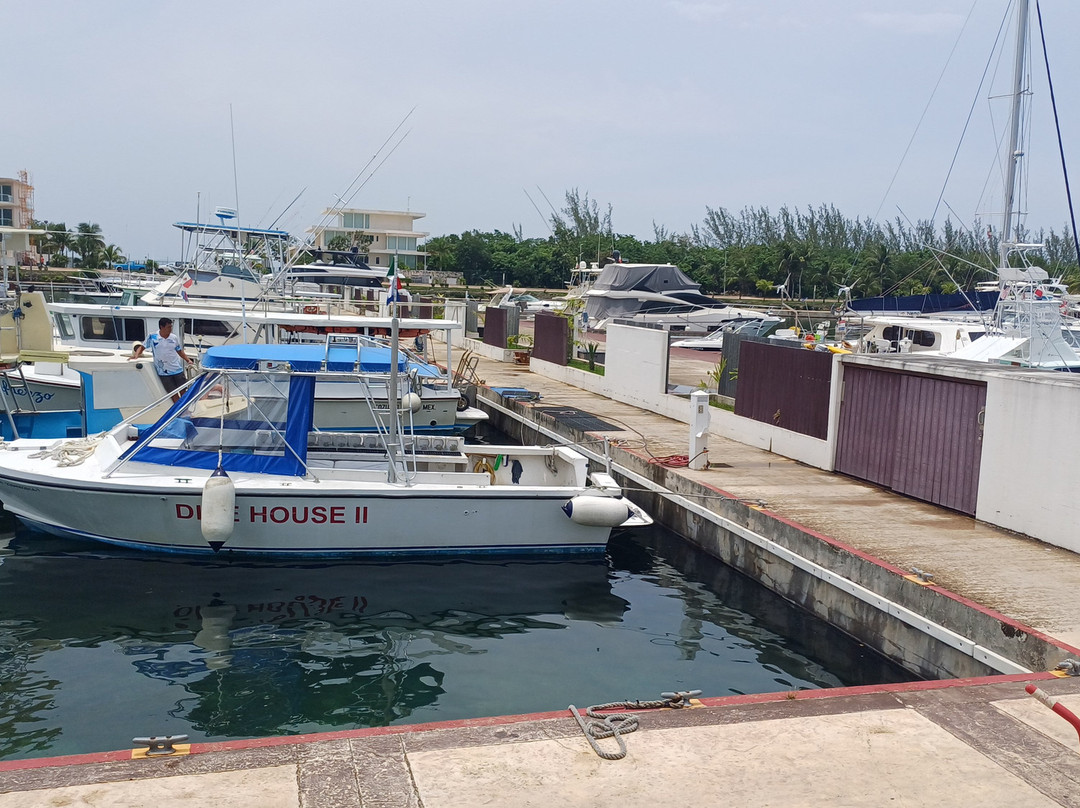 Mergulho na Trip Cozumel-San Miguel de Cozumel必去景点