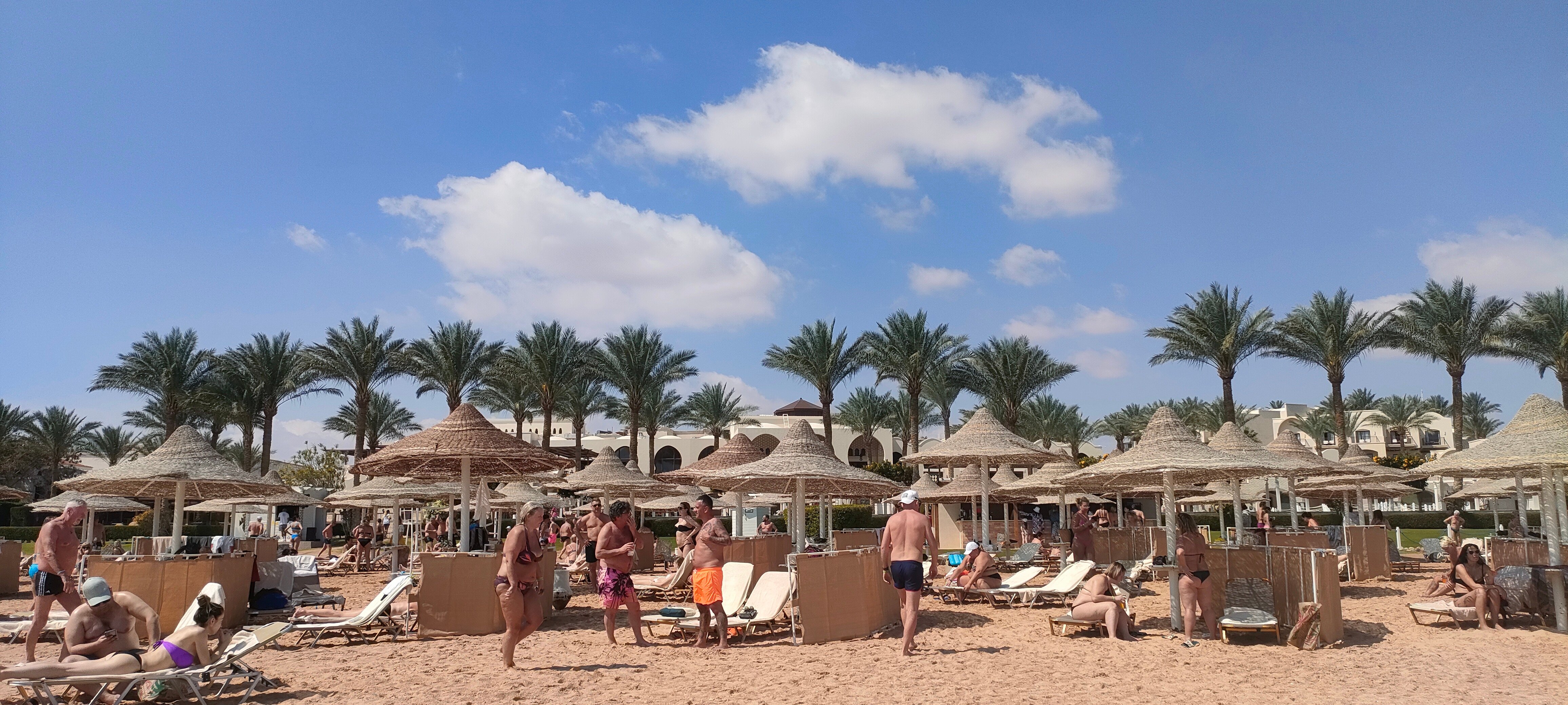 JAZ Belvedere-泳池