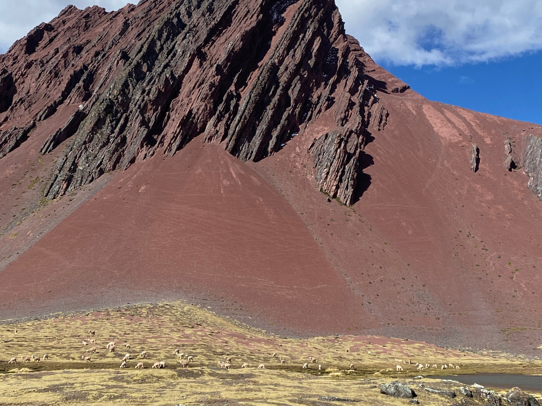Andean Lodges-库斯科必去景点