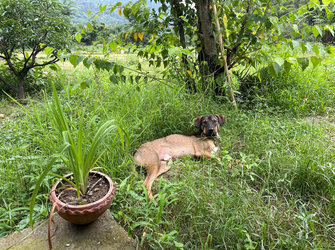 Yoga Chaitanya International Institute-Ranibagh必去景点