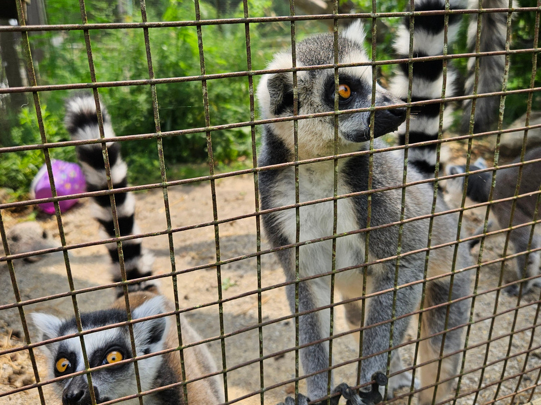 Bervie Zoological Park-Kincardine必去景点