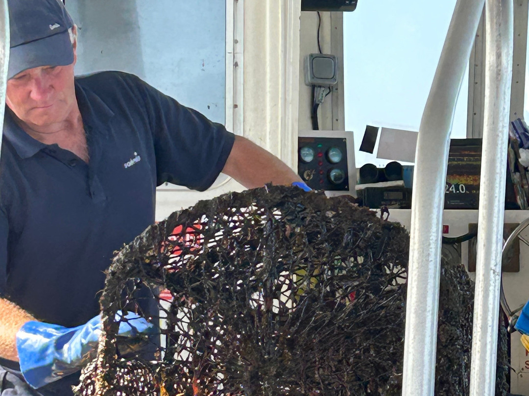 Amble boat trips-Amble必去景点