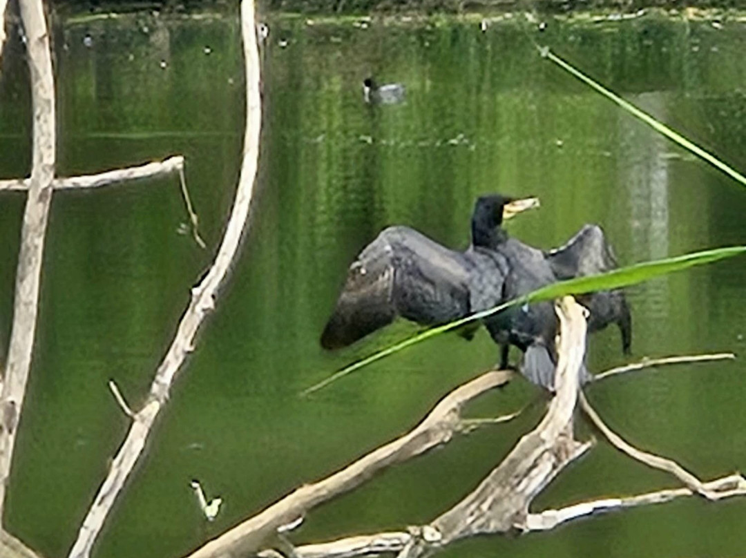 Château de Grouchy-Osny必去景点