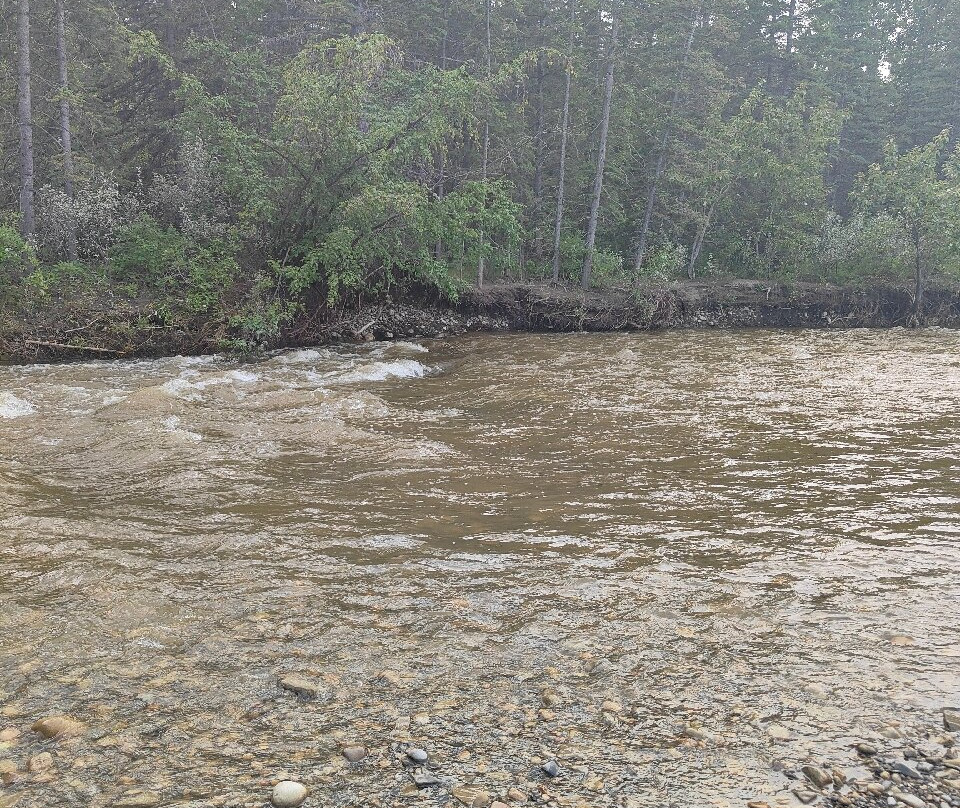 省立鱼溪公园-卡尔加里必去景点