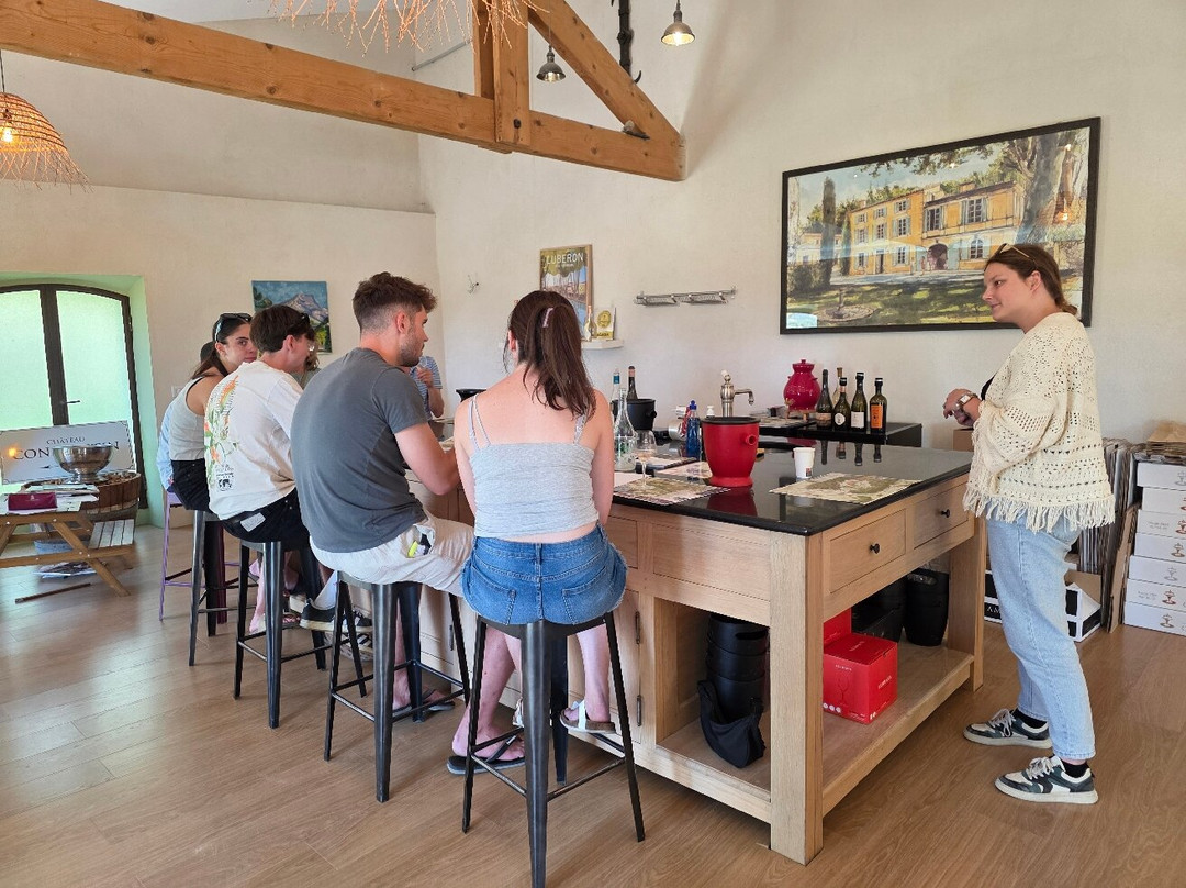 Château Constantin-Lourmarin必去景点