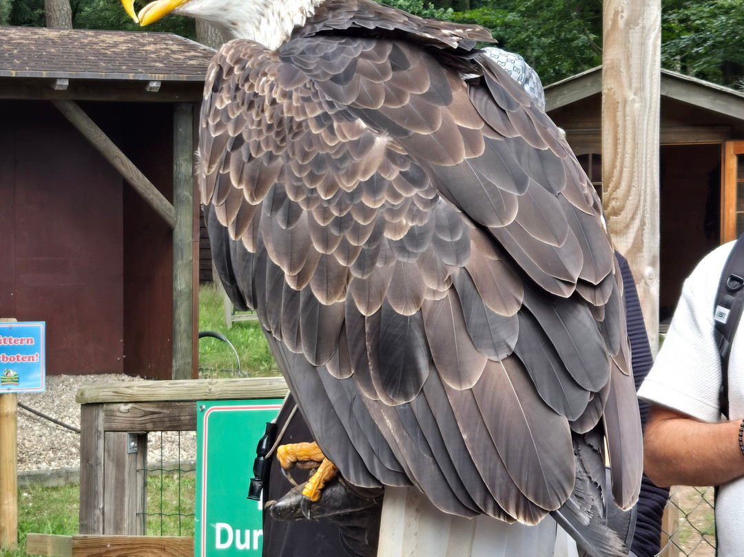 Kurpfalz-Park Wachenheim-Wachenheim an der Weinstrasse必去景点