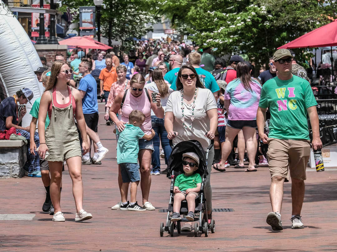 Shenandoah Apple Blossom Festival