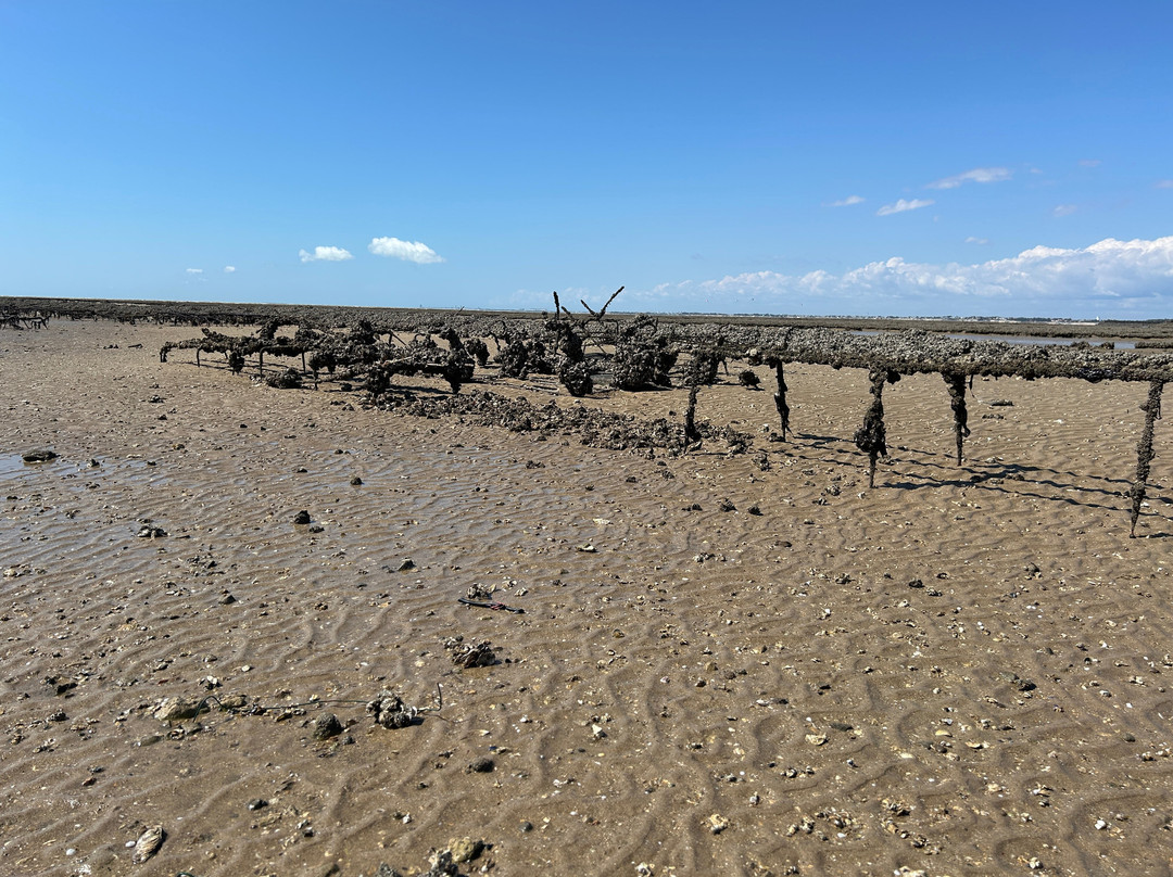 Plage de Châtelaillon-Chatelaillon-Plage必去景点