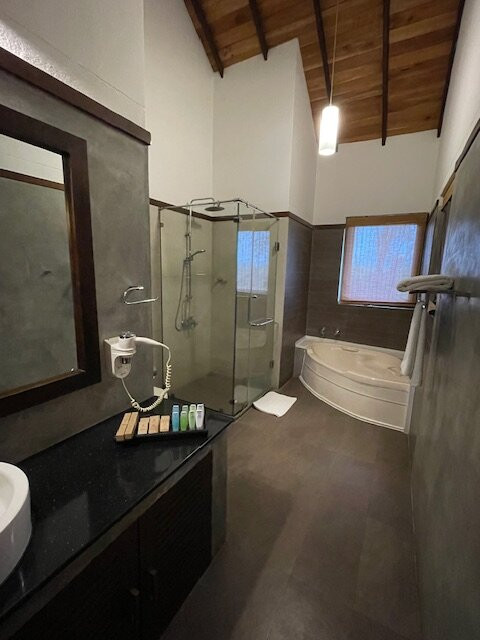 钱德里卡酒店主图