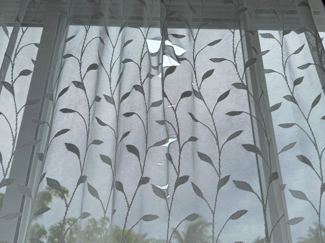 Vilu Thari Inn Maldives主图