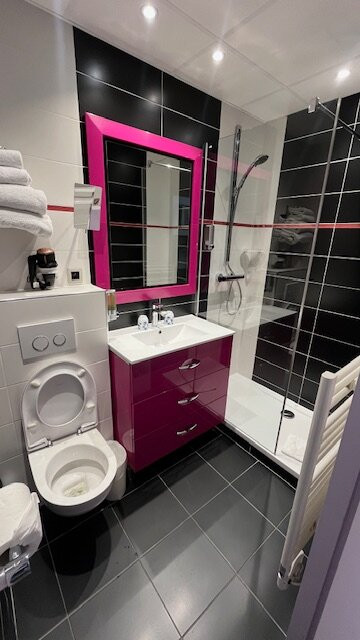 Hotel des Celestins主图