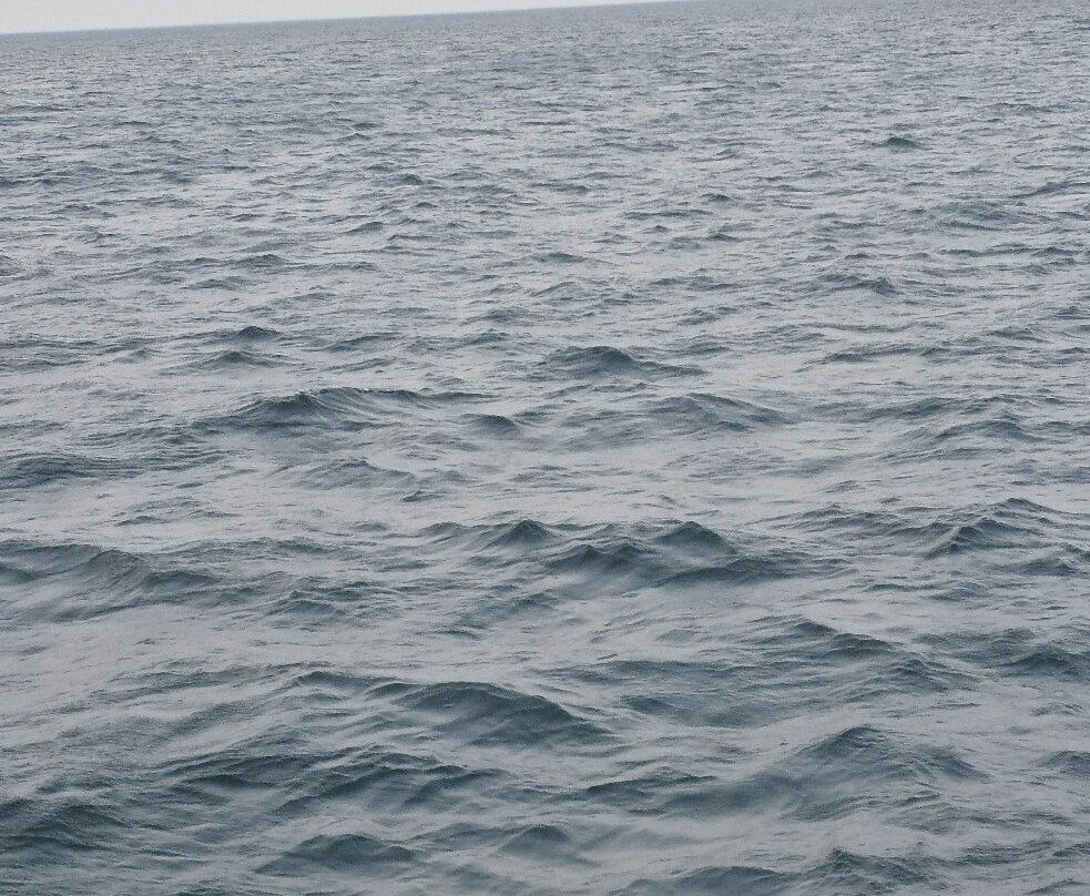 The Dark Tickle Co.-纽芬兰及拉布拉多必去景点