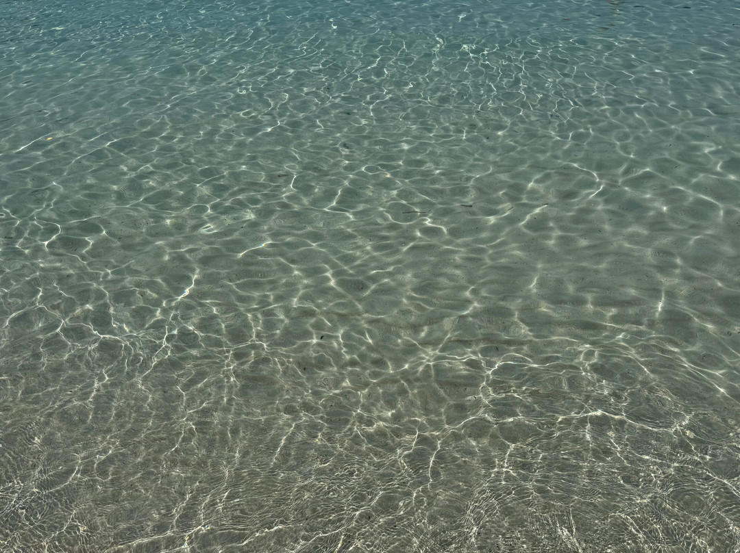 Isola dei Conigli-兰佩杜萨必去景点