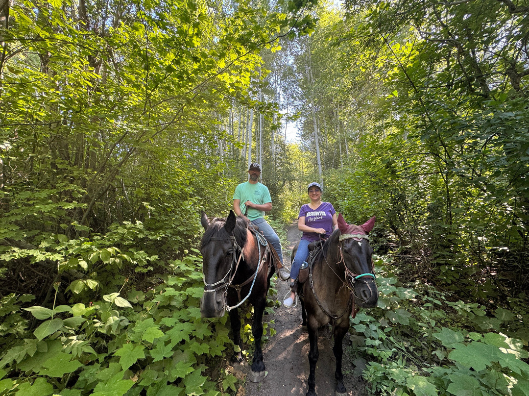 Wild At Heart Horse Rides-莱文沃思必去景点