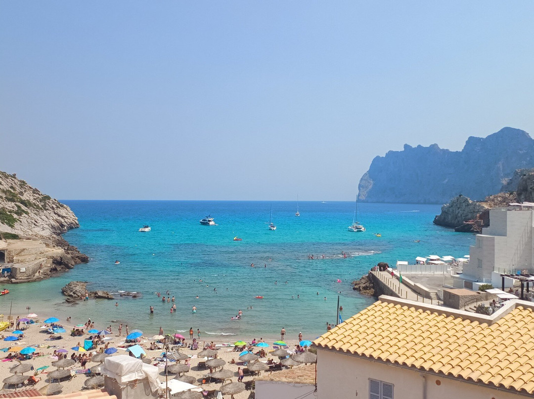 Platja de Cala Barques-Cala Sant Vicenc必去景点