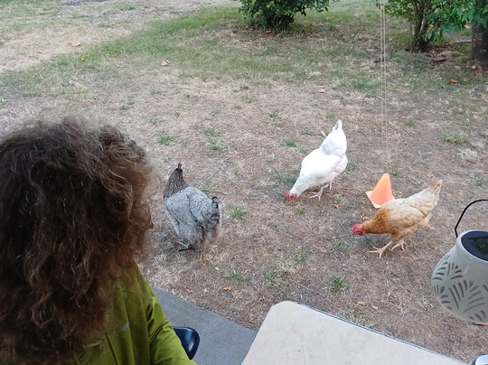 Au Jardin Près de l'Océan主图