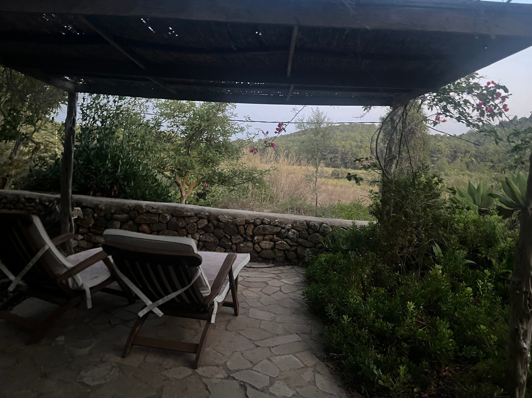 Yoga Pilates Ibiza-伊维萨必去景点