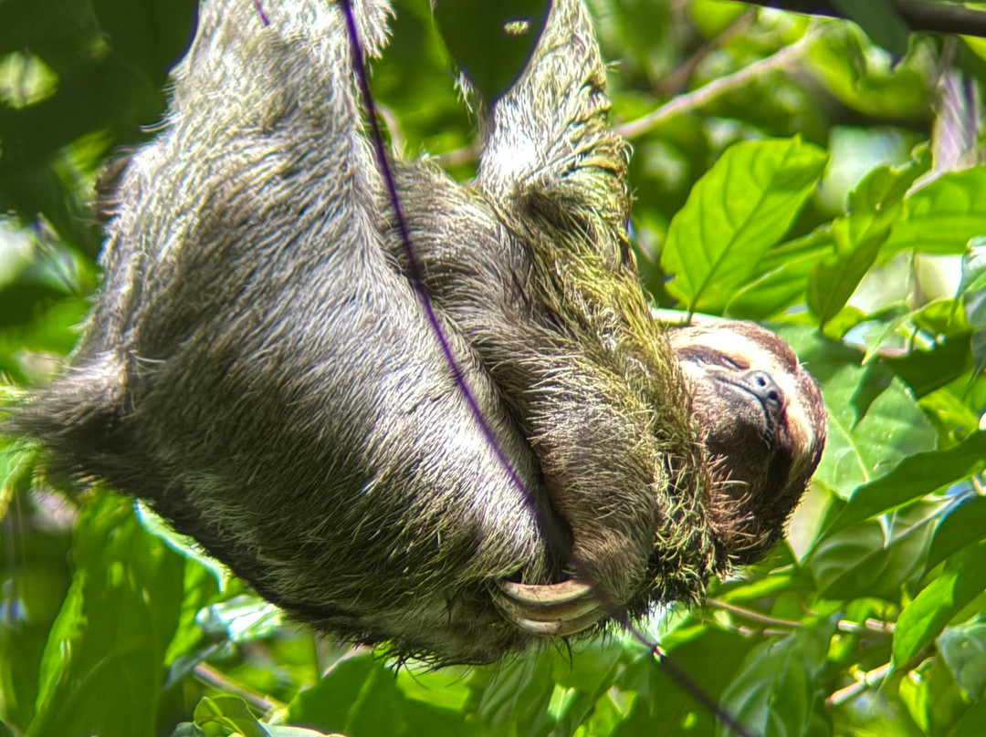 Costa Rica Experts-圣何塞必去景点